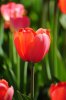 DSC_0267.JPG