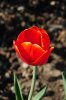 DSC_0317.JPG