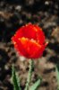 DSC_0317.JPG