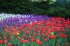 DSC_0352.JPG