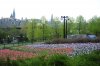 DSC_0311.JPG