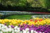 DSC_0371.JPG