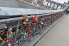 bridge-2013.jpg