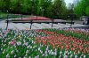 DSC_0273.jpg