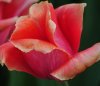 DSC_0301.JPG