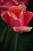 DSC_0295.JPG