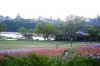 DSC_0312.JPG