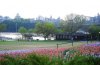 Dsc_0312.jpg
