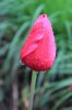 IMG_5042.JPG