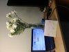flower3.jpg