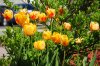 DSC_0297.JPG