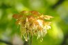 DSC_0287.JPG