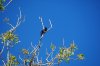 DSC_0304.JPG