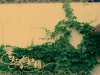 20071261656090.jpg