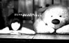 20081181618000.jpg