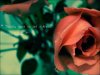20083221437100.jpg