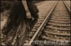 200710301501110.jpg