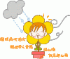 5.gif
