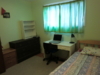 CIMG2096-11.JPG