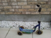 20130616_183010.jpg