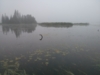 fog_lake.jpg