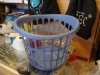 DSC01648.jpg