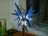 DSC00536.jpg