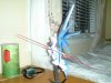 DSC00538.jpg
