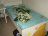 DSC01825.jpg