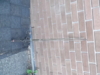 DSCF1430.jpg