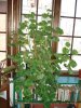 DSC00078.JPG