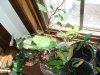 DSC00080.JPG