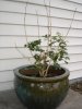 DSC03871.JPG