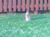 20042008075dddddd.JPG