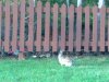 20042008076wwww.JPG