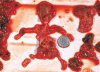 aborted_9_week_fetus.jpg