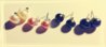 全家福_conew2.jpg