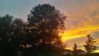 IMG_00000203_hdr.jpg