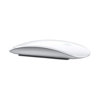 magic mouse.jpg