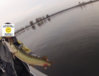 musky_ottawa_river.jpg