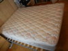 DSCN0524.JPG