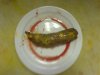 DSC00063.jpg