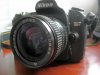 D5900_4294.jpg