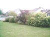 backyard1s.jpg
