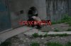 xm11.jpg