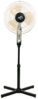 440176_Enlarged_1.jpeg