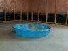 2013-07-21_12-01-56_967.jpg
