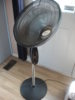DSC00910.JPG