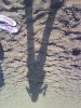 DSC01151.jpg
