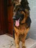DSC01083.JPG